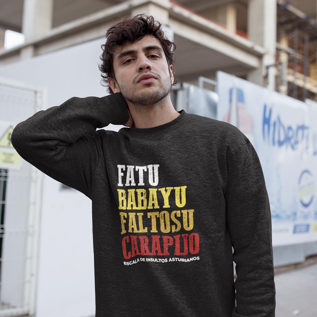 Sudadera INSULTOS ASTURIANOS